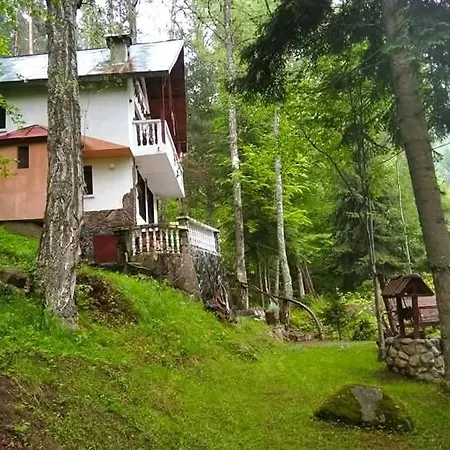 бяла луна