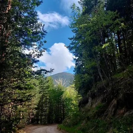 Gasthof бяла луна *